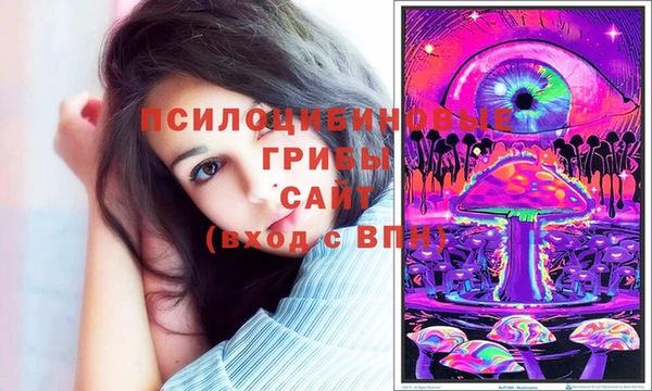 прущий лед Усинск